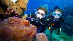 3 Day Learn to Dive with eLearning